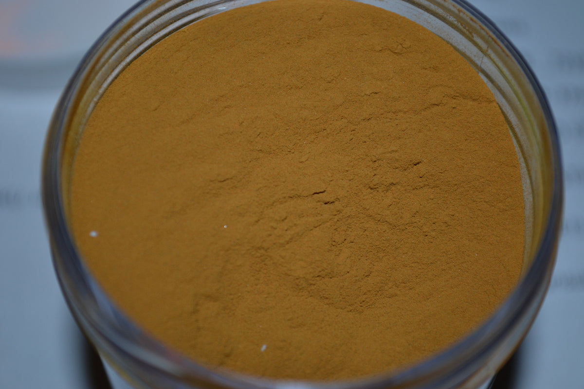 Powder Paint 3oz Jar for Jig Heads and Lures - Multiple Colors