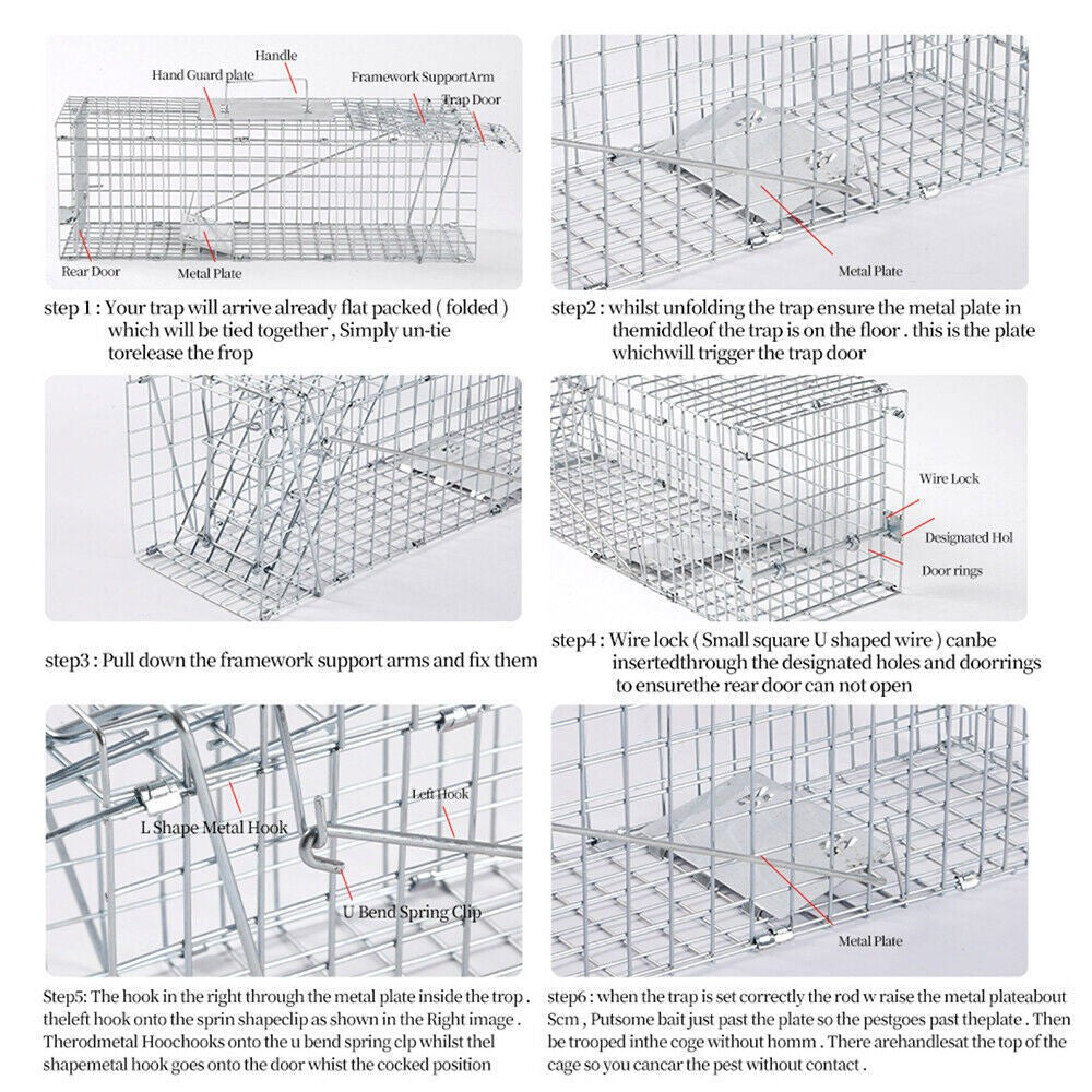 Humane Live Animal Trap Steel Cage for Rodents, Cats, Squirrels, Raccoons
