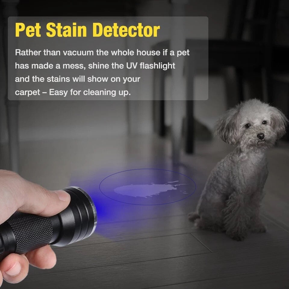Pet Urine Stain Detector UV Flashlight - Black Light for Pet Messes