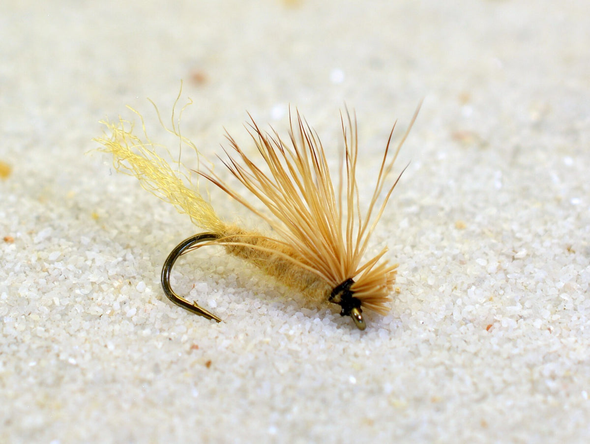 12 Flies -X Caddis Dry Fly - Tied Mustad Signature Fly Fishing Hooks - Assorted Sizes