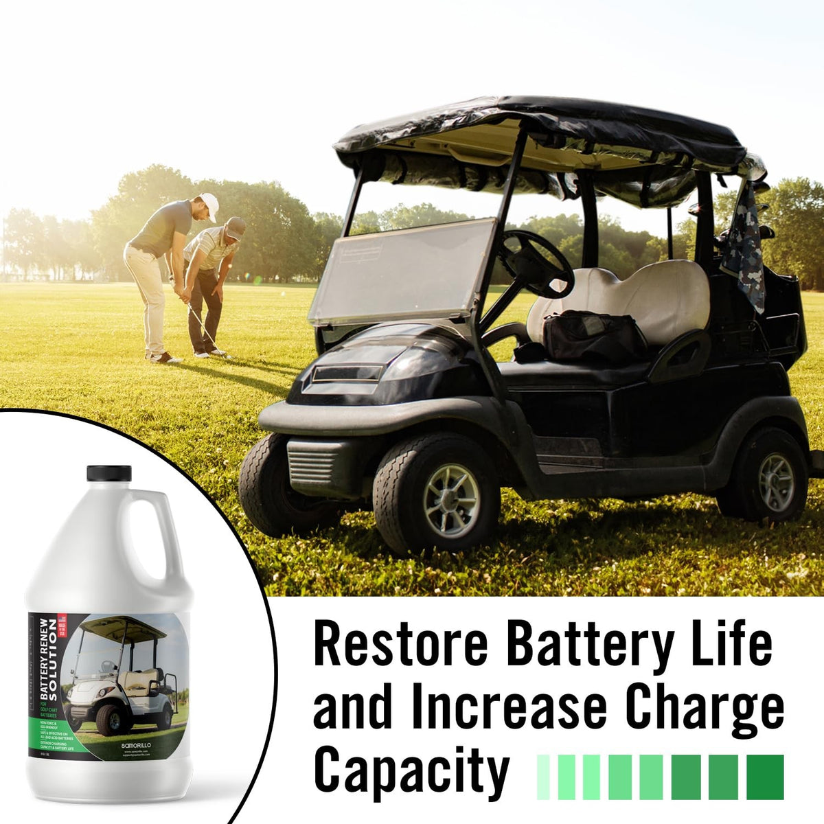 Golf Cart Battery Desulfator Solution - 64 oz Battery Renew for Lead Acid Batteries