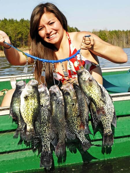 20 Pack Crappie Jigs 2-Inch Split Tail Fishing Lures for Panfish Bass