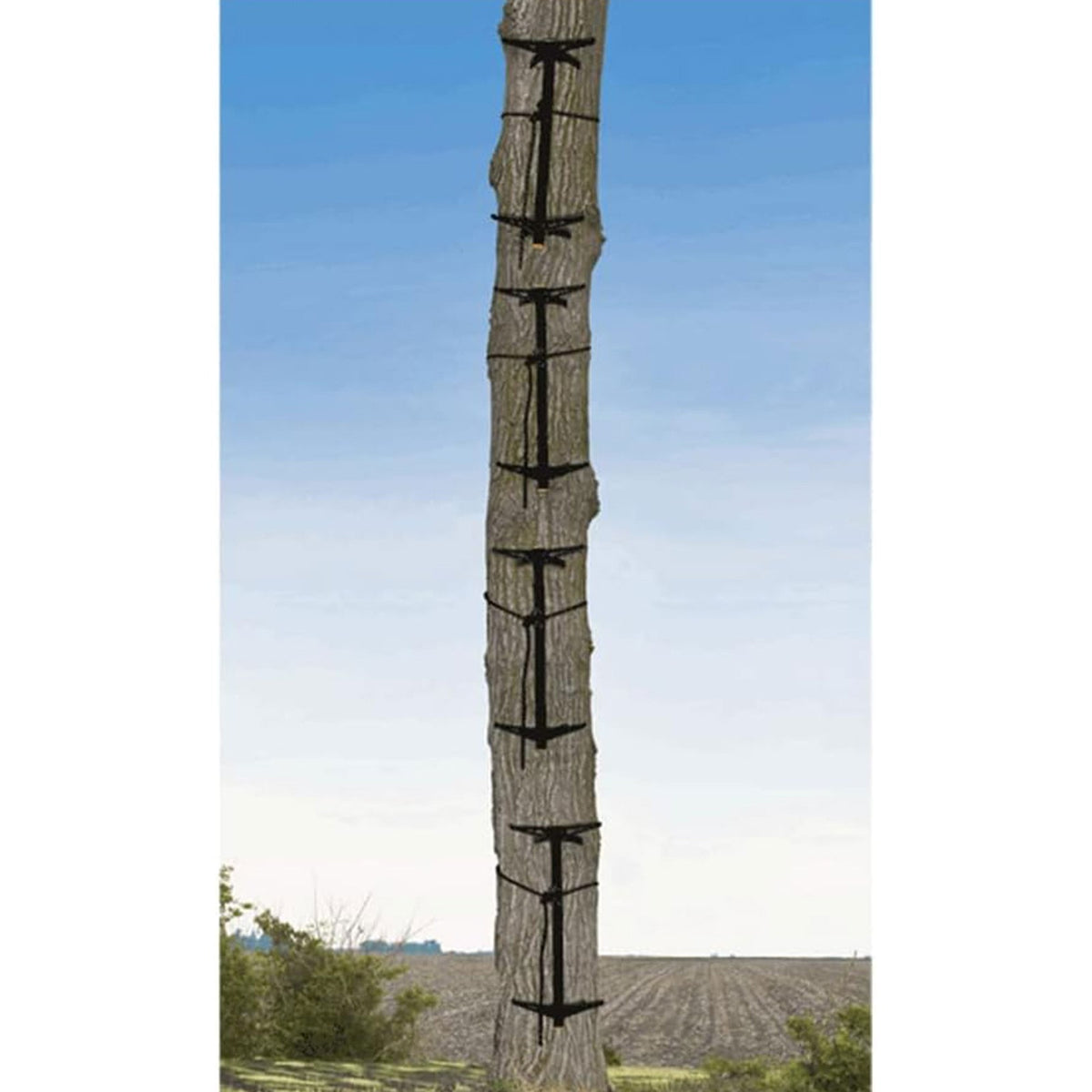 Climbing Tree Stand Sticks with Rope Cam Attachment - 4 Pack Hunting Gear