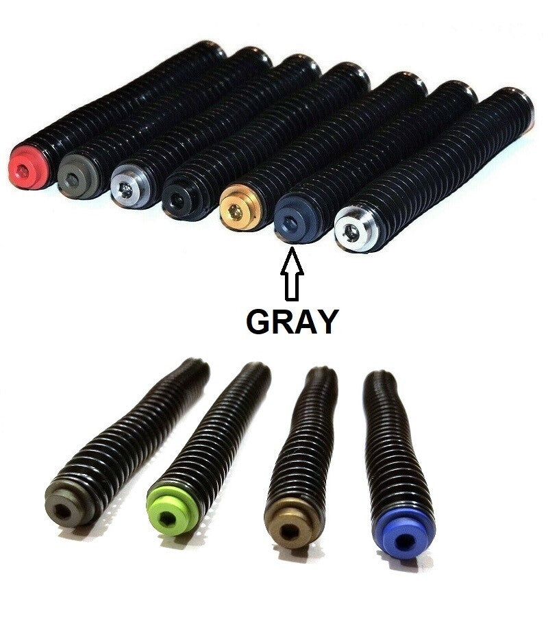 Stainless Steel Guide Rod for Smith & Wesson SD9VE SD40VE - Multiple Color & Spring Options
