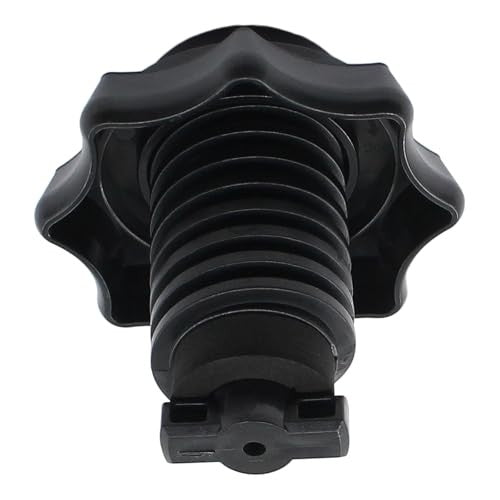 Tire Carrier Mounting Nut for VW Beetle & Audi Models