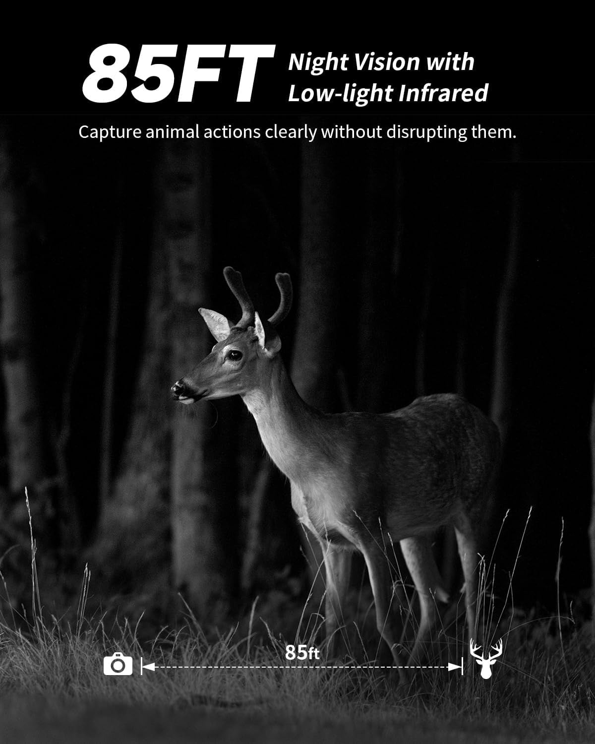 4G LTE Solar Trail Camera with 4K Live View Night Vision Waterproof Wildlife Monitoring
