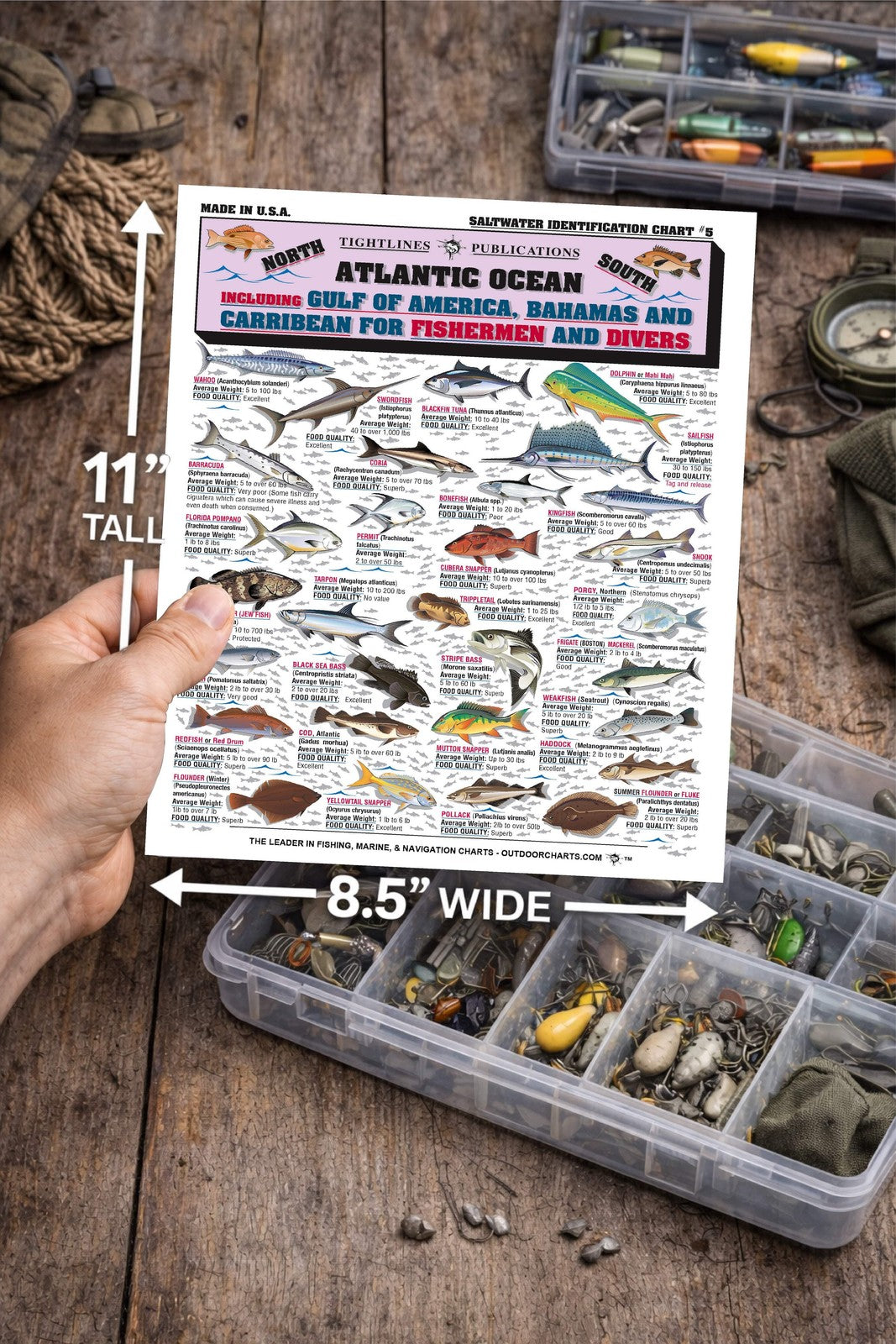 Saltwater Fish Identification Chart Waterproof Guide for Atlantic, Gulf, Bahamas
