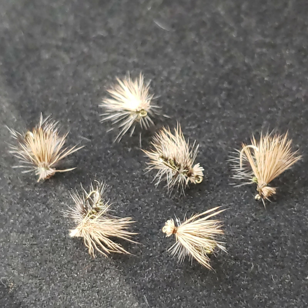 Olive Size 10 Elk Hair Caddis Dry Fly - Custom Tied for Fishing