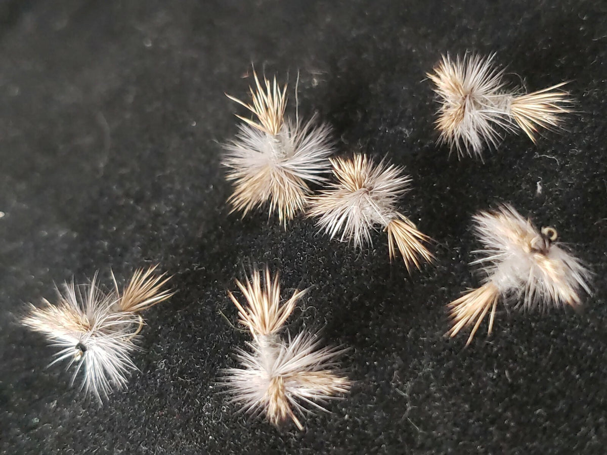 Fly Fishing Flies Grey Wulff Size 14 Dry Frontier Attractor Pattern - 1/2 Dozen