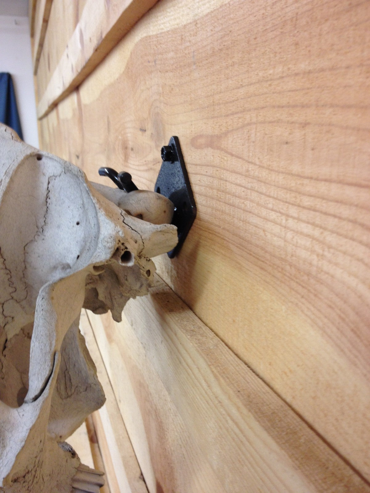 Heavy Duty Skull Hanger Bracket for Buffalo, Elk, Moose, Cattle Displays