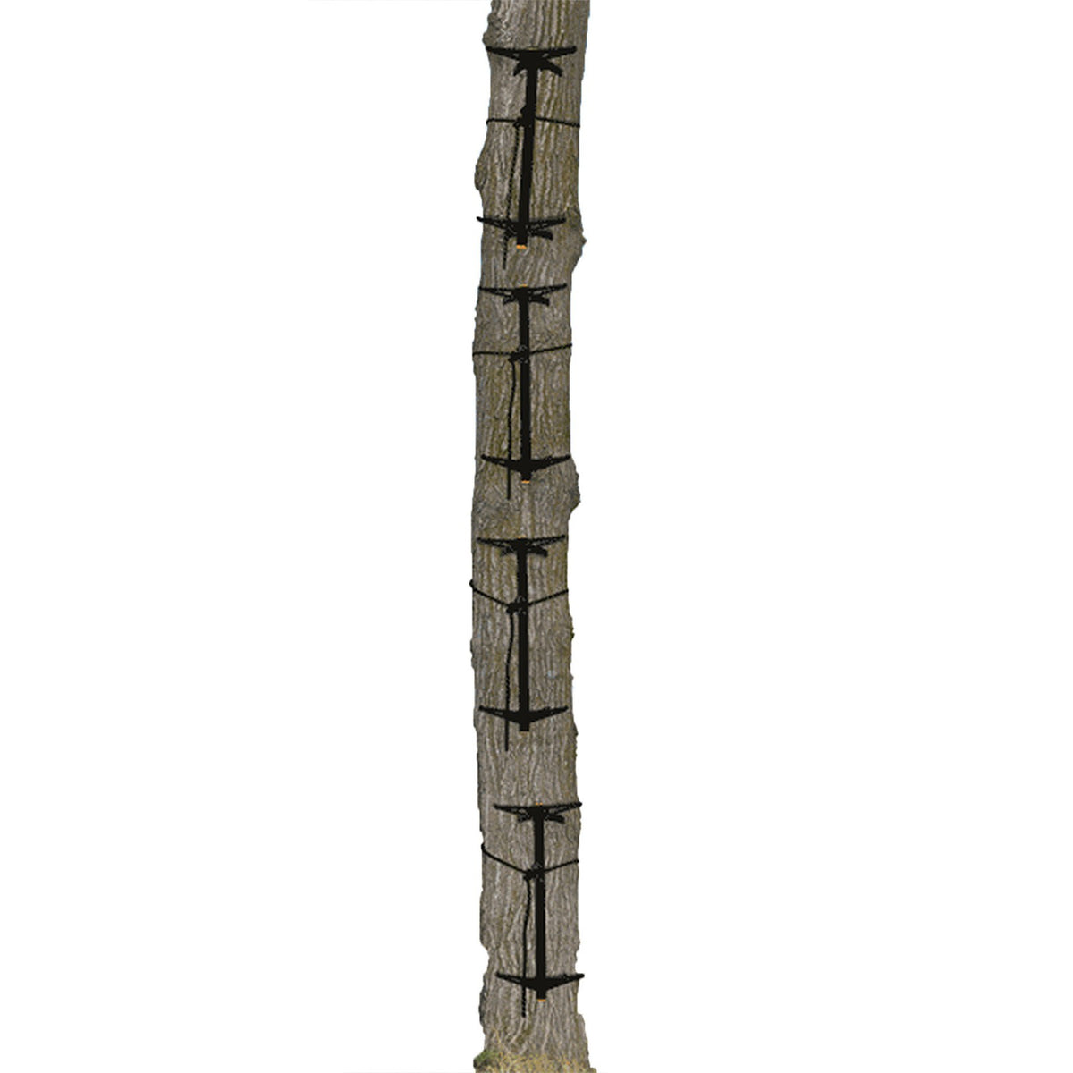 Climbing Tree Stand Sticks with Rope Cam Attachment - 4 Pack Hunting Gear