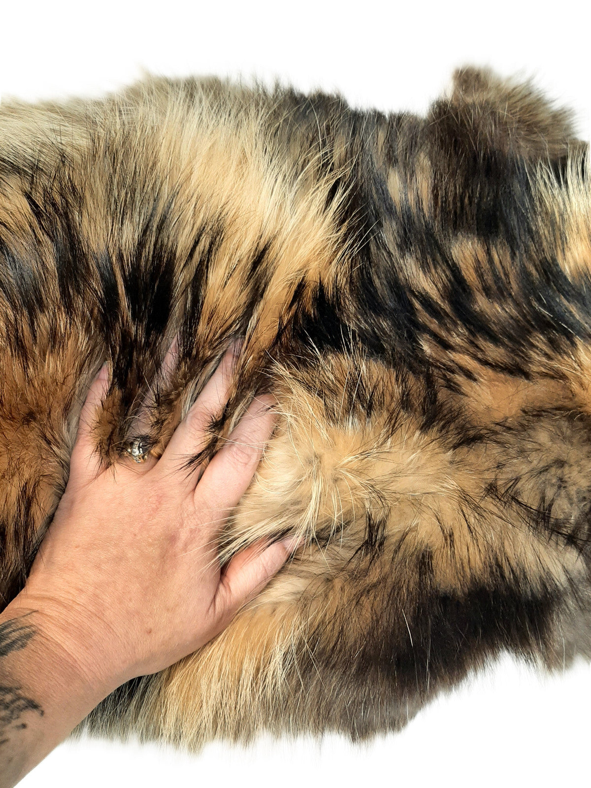 Large Tanned Finnish Coonskin Fur Pelt - Thick Long Fur, Unique Colors