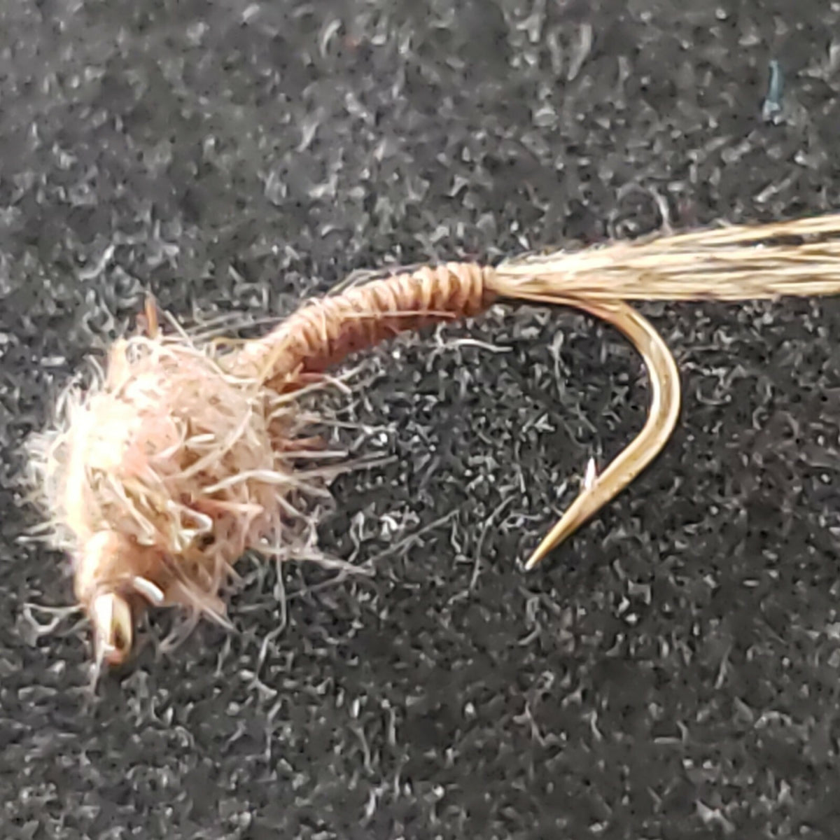 Fly Fishing Flies Size 22 Nymph Midge Brown Tan - Frontier Fly Company