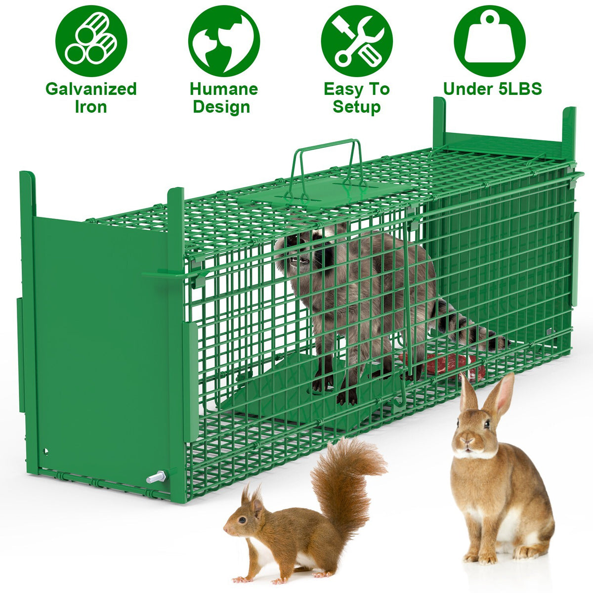 Heavy Duty Humane Animal Cage Trap for Raccoons Cats & Wildlife