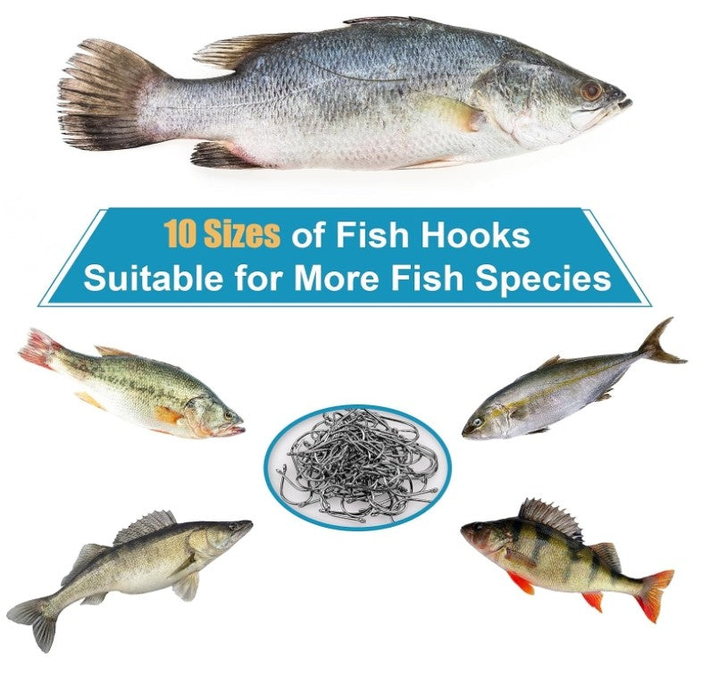 500pcs Fishing Hooks Set in 10 Sizes - Carbon Steel Sharpened Hooks with Storage Box