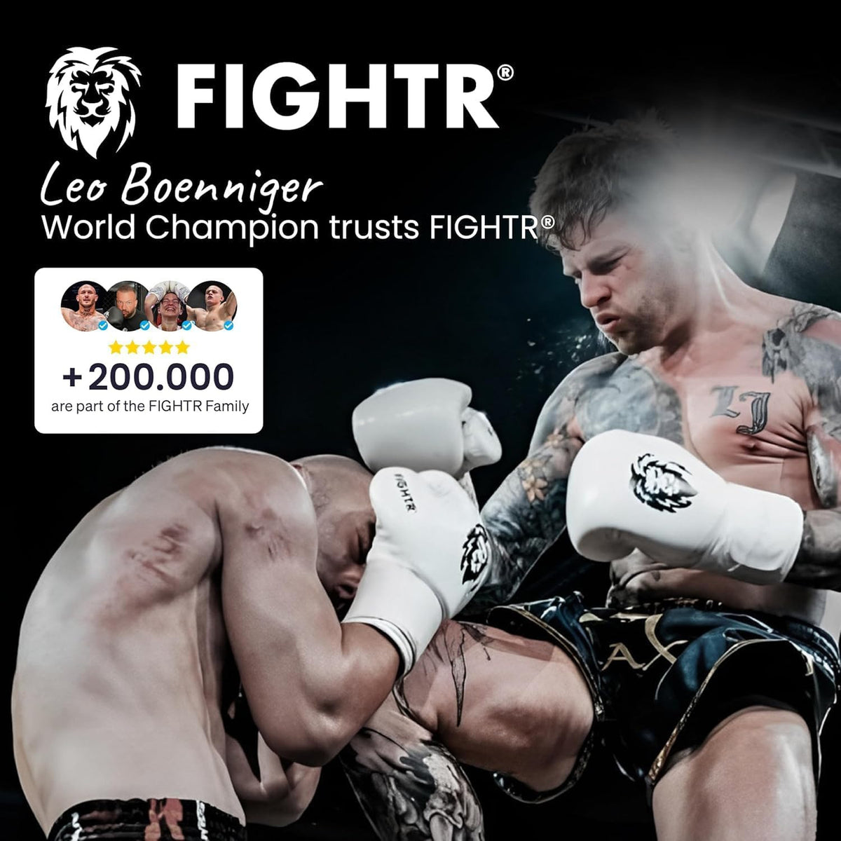 Boxing Gloves for Training and Sparring - Pro Support & Ventilation