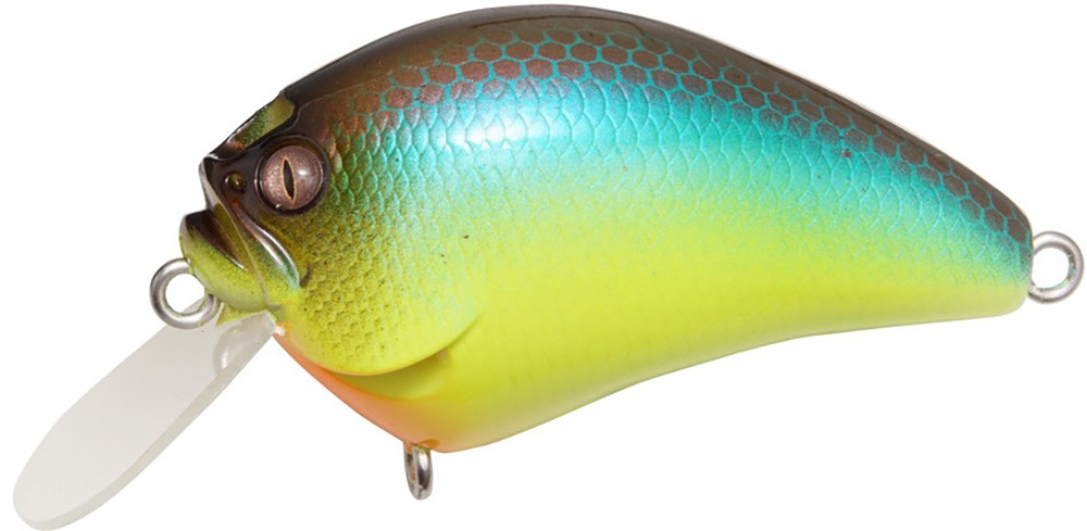 Shallow Crankbait 2 Inch High-Performance Fishing Lure for Freshwater & Saltwater
