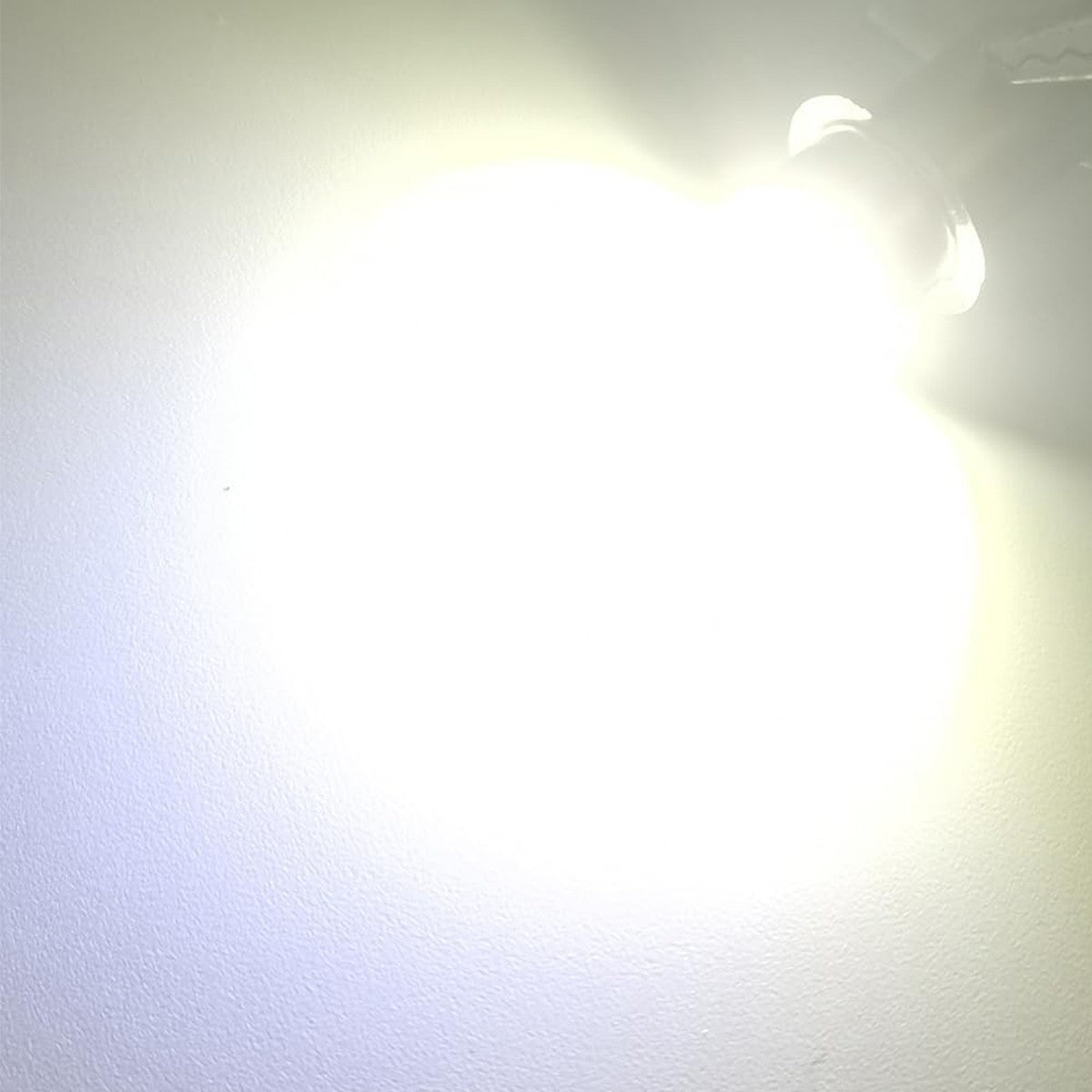 LED Flashlight Worklight Bulb 19.2V P13.5S for Craftsman 19V Tools - White