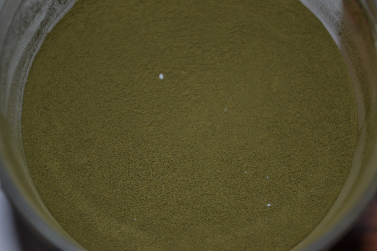Powder Paint 3oz Jar for Jig Heads and Lures - Multiple Colors