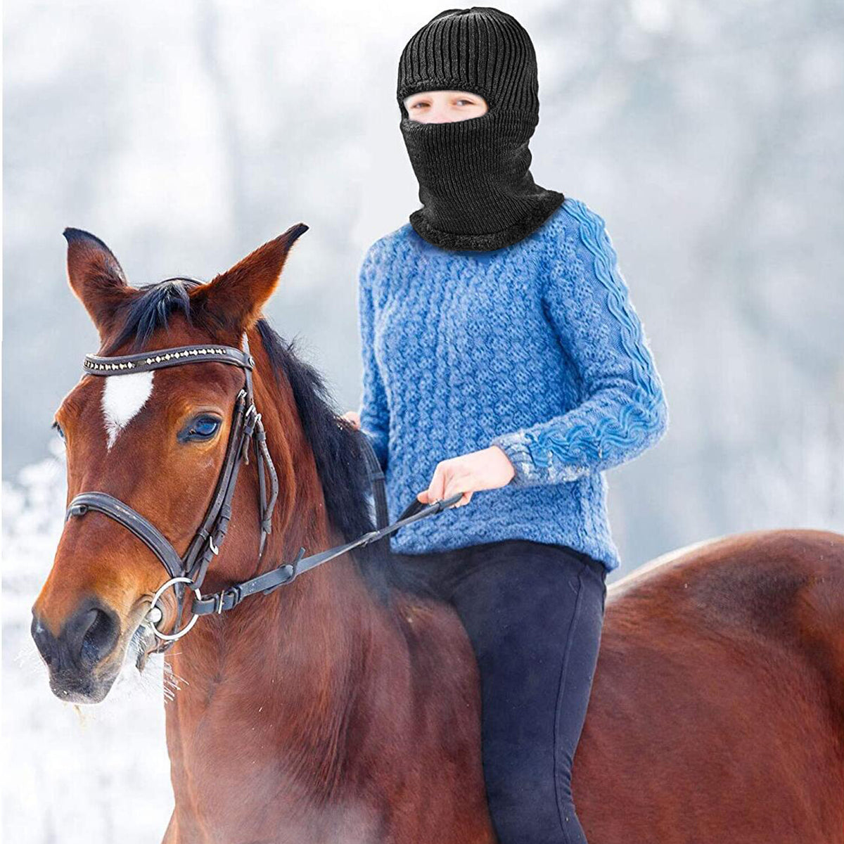 Winter Balaclava Fleece Full Face Mask Thermal Windproof Ski Mask for Men Women