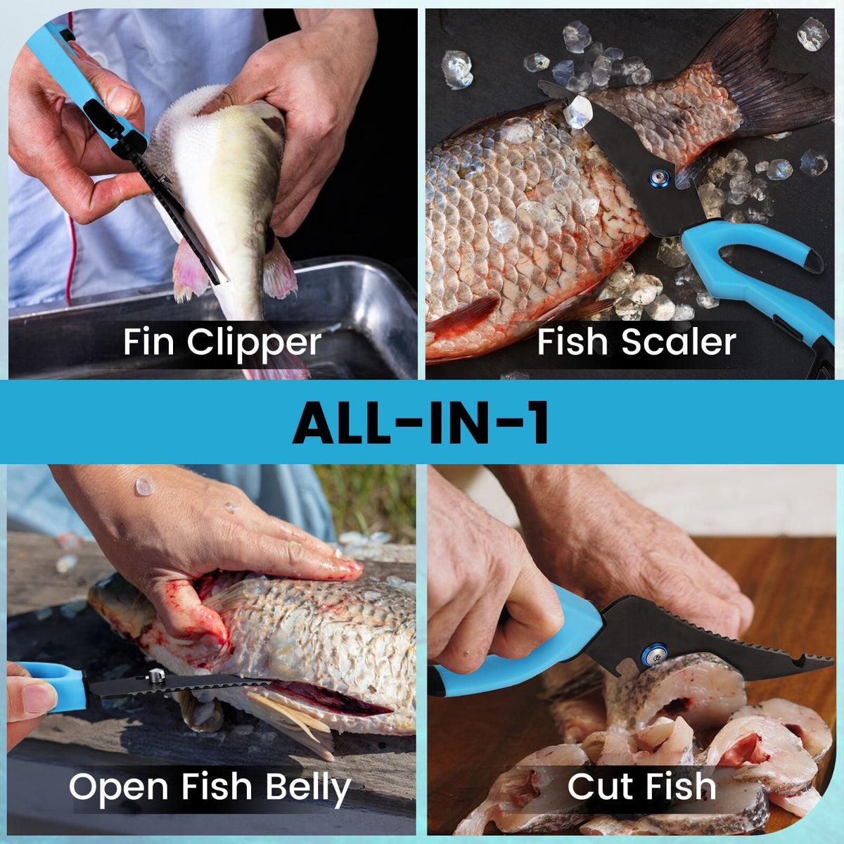 10-Inch Stainless Steel Detachable Fishing Scissors with Fish Scaler & Multi-Tool