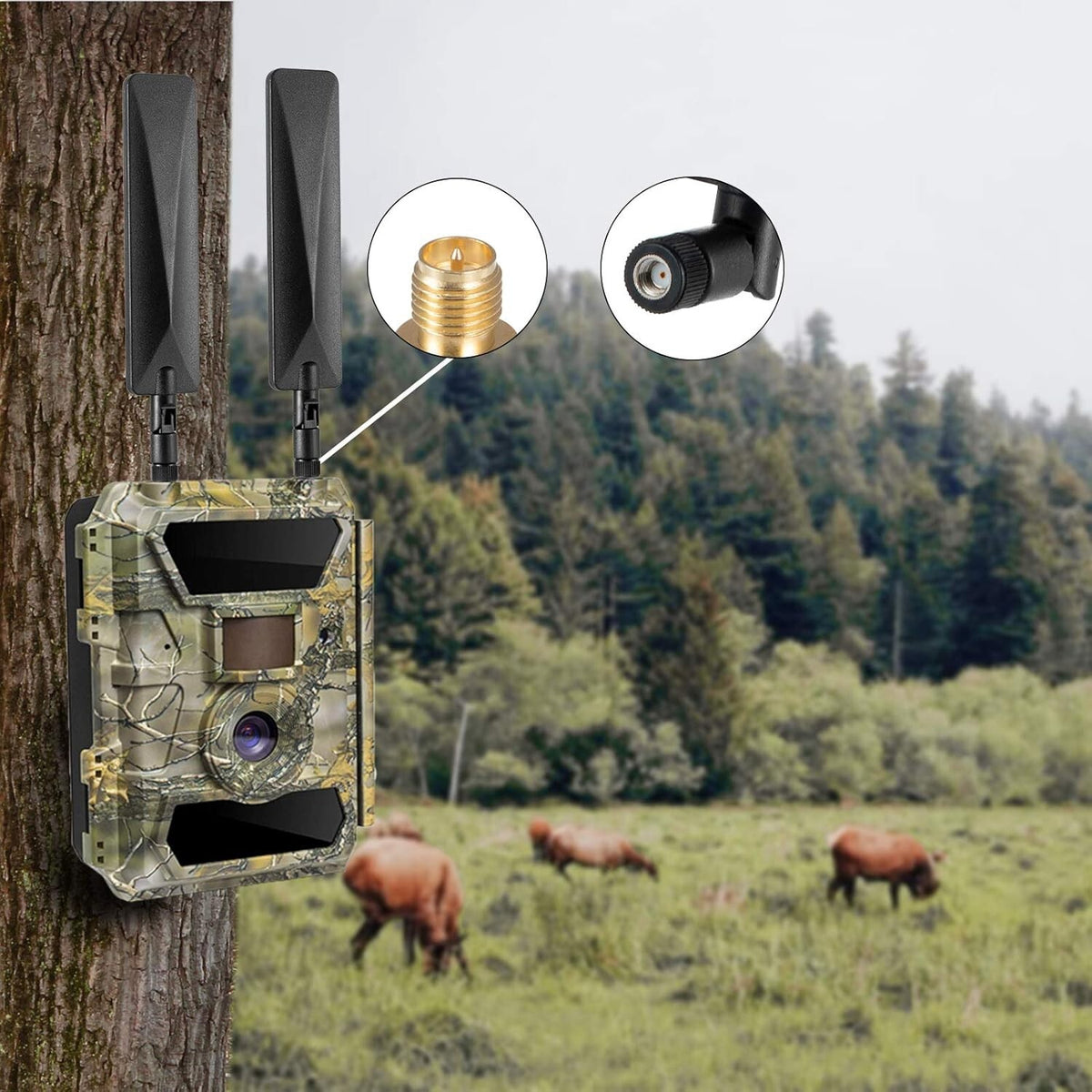 Cellular Trail Camera Antenna 9dBi Omni-Directional Long Range Boost for Security & Wildlife