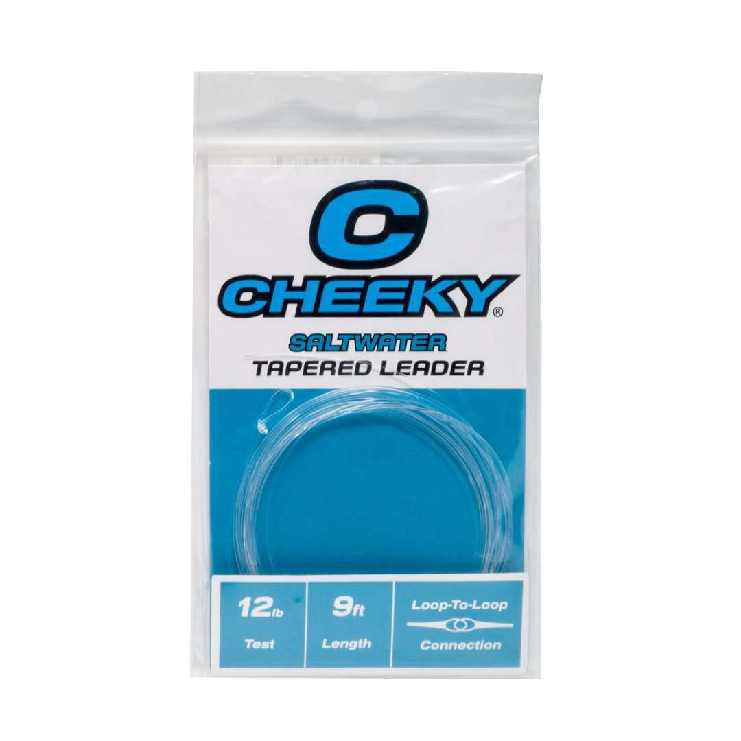 Saltwater Fly Leader Tapered 9ft Fishing Line for Bonefish, Tarpon, Snook & Redfish
