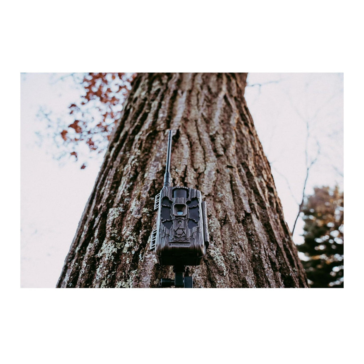 Stealth Cam Deceptor Max 2.0 Dual-Core Cellular Trail Camera 2 Pack
