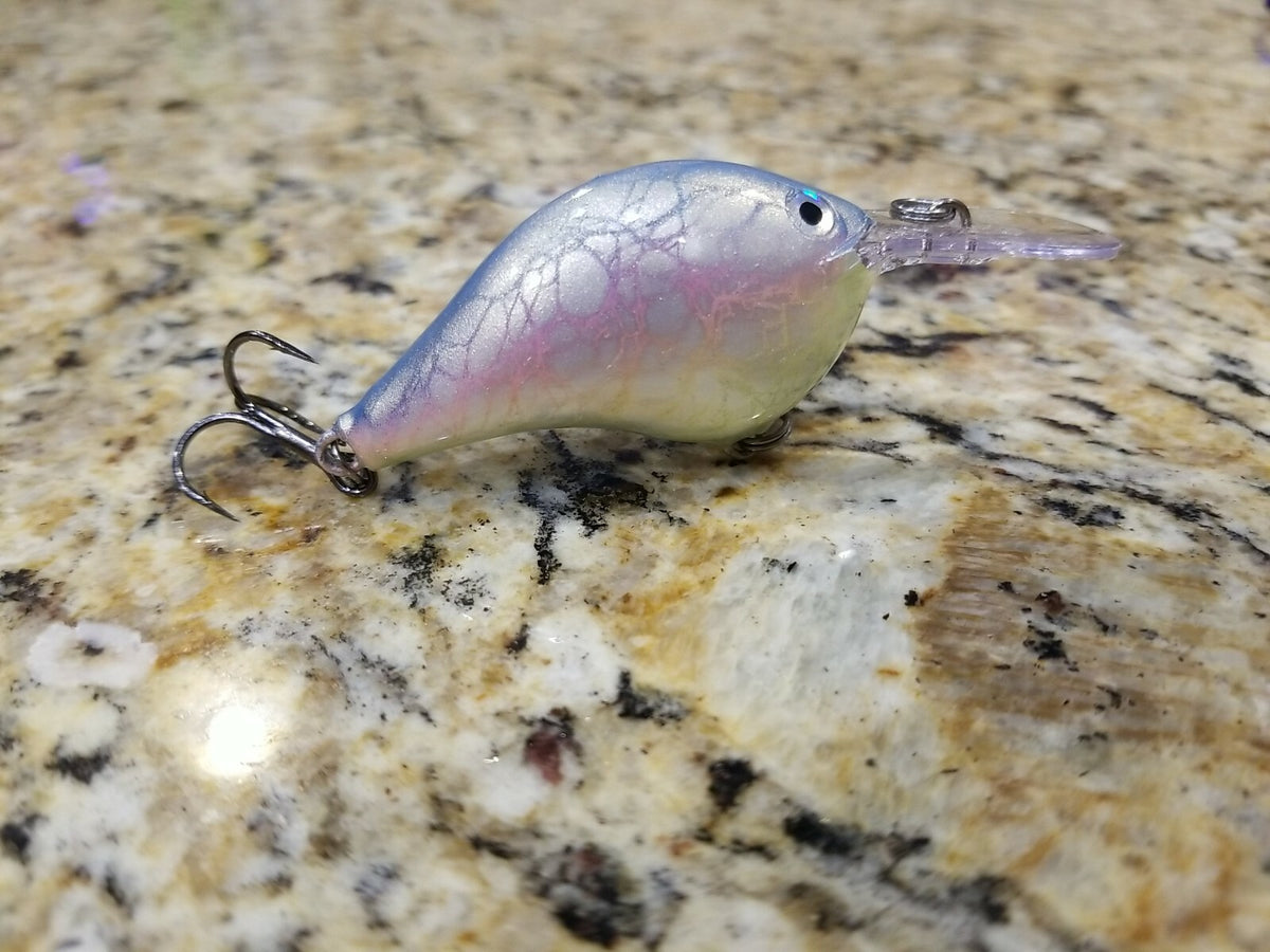 Custom Painted Rapala DT-6 Deep Diver Lure - Fish Attractant