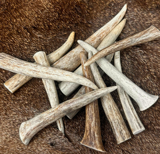 Premium Deer Antler Crafting Tips - A Grade, Multiple Sizes, 5 Pack
