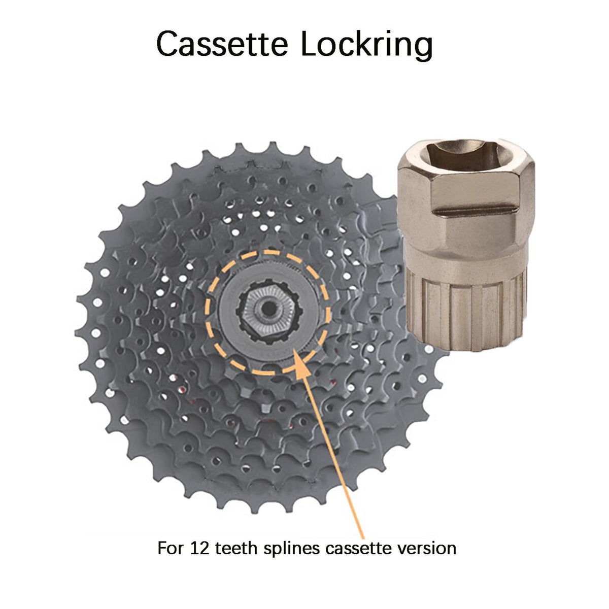 Bike Cassette & Freewheel Removal Tool Kit with Chain Whip for Bicycle Maintenance