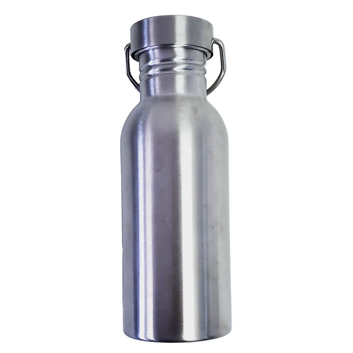 17oz Stainless Steel Water Bottle with Leakproof Cap for Camping & Hiking