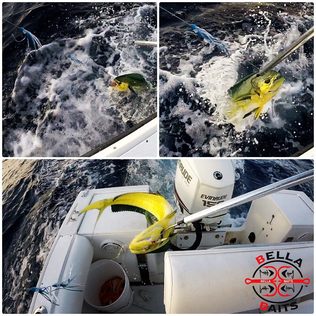 Saltwater Fishing Lure - Triple Squid Chain for Mahi Tuna & Pelagic Fish