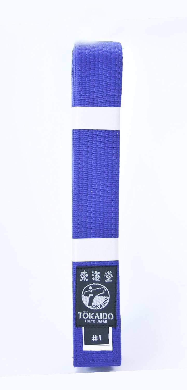 Martial Arts Belts - Purple Color, All Sizes & Styles for Judo Karate TKD BJJ