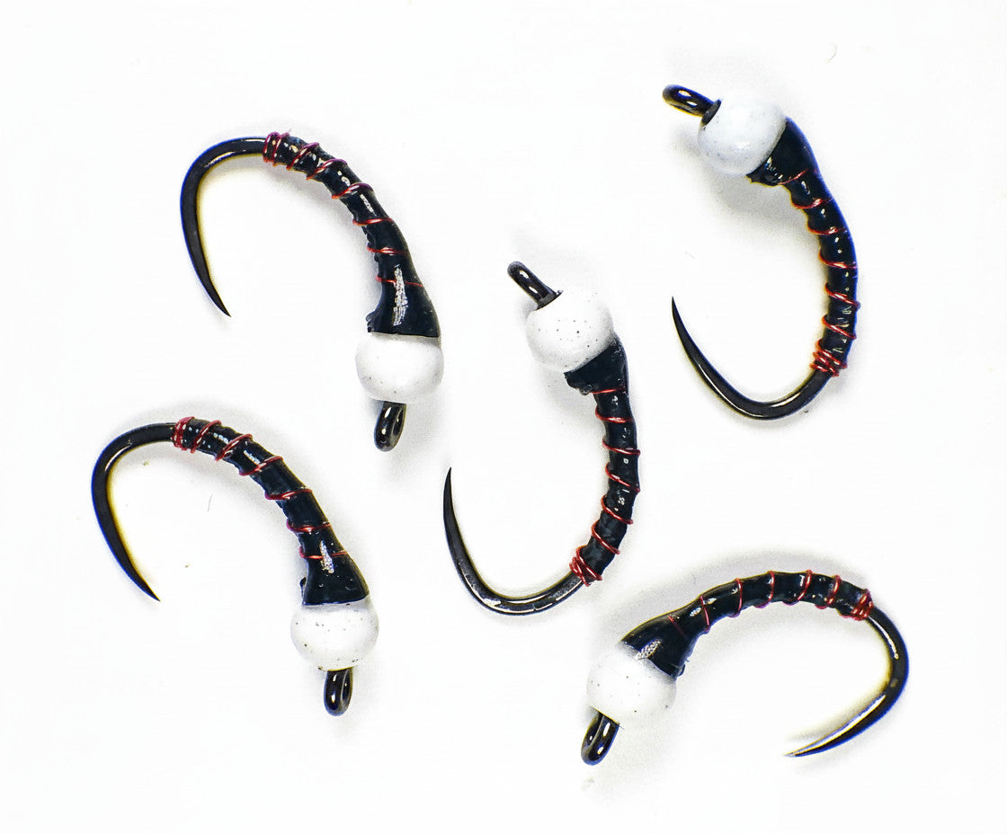 Premium Trout Fly Fishing Flies - Czech Barbless Tungsten Nymphs - Multiple Sizes