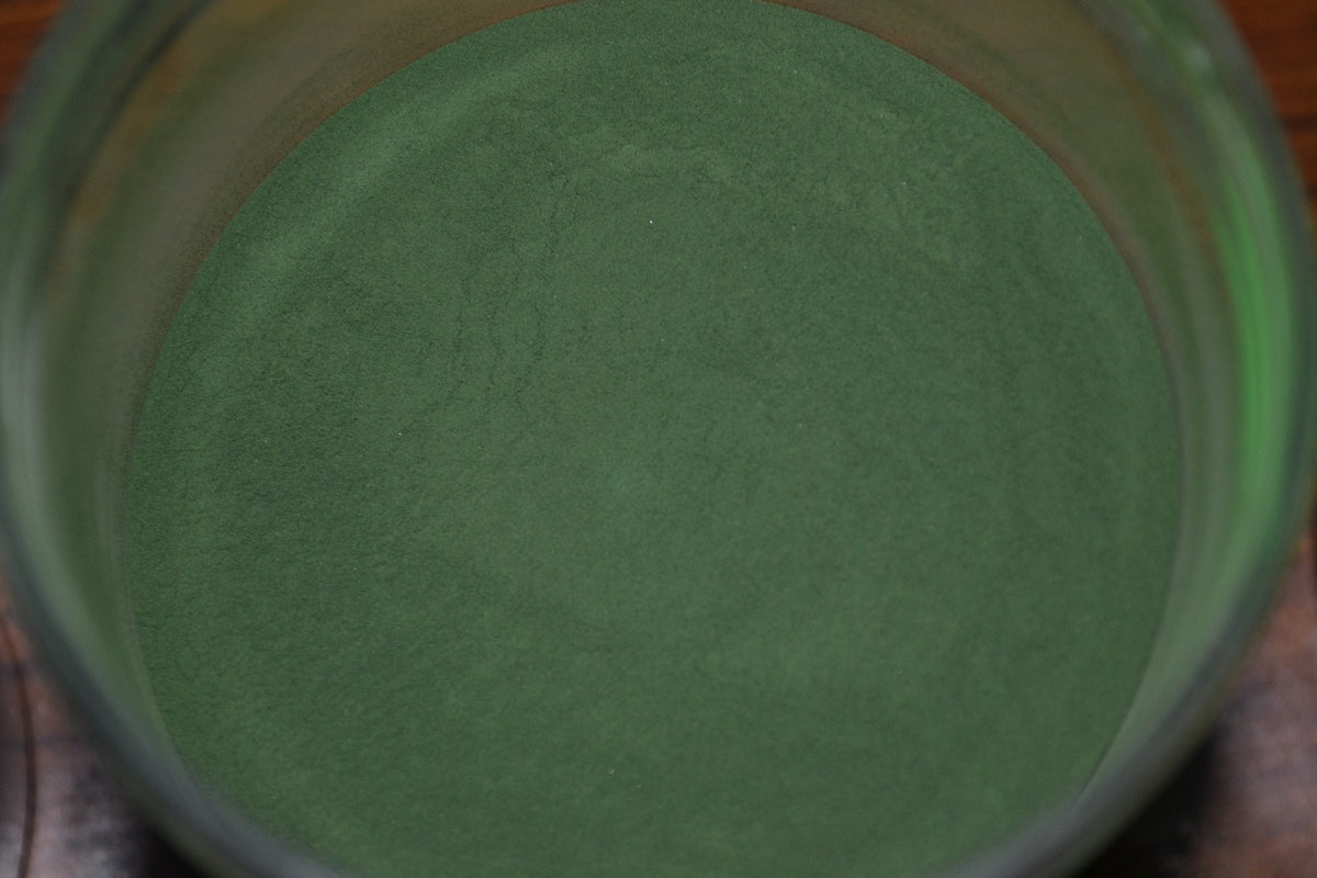 Powder Paint 3oz Jar for Jig Heads and Lures - Multiple Colors