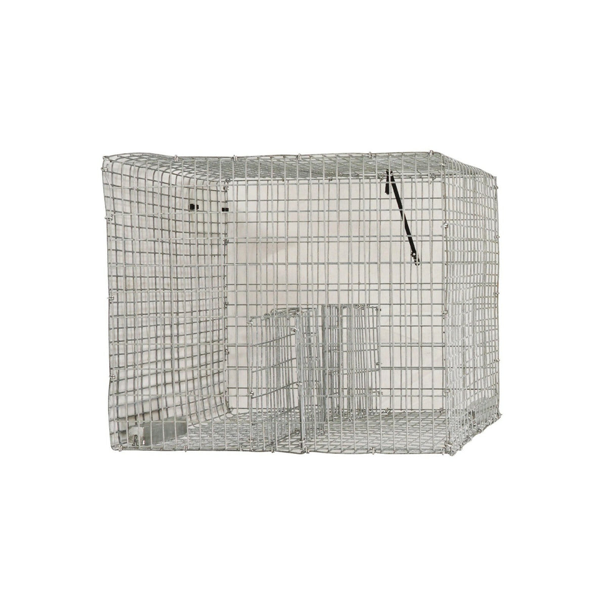 Commercial Grade Pinfish Trap - Galvanized Fish Trap for Bait & Fish Catching (15x13x11 inches)