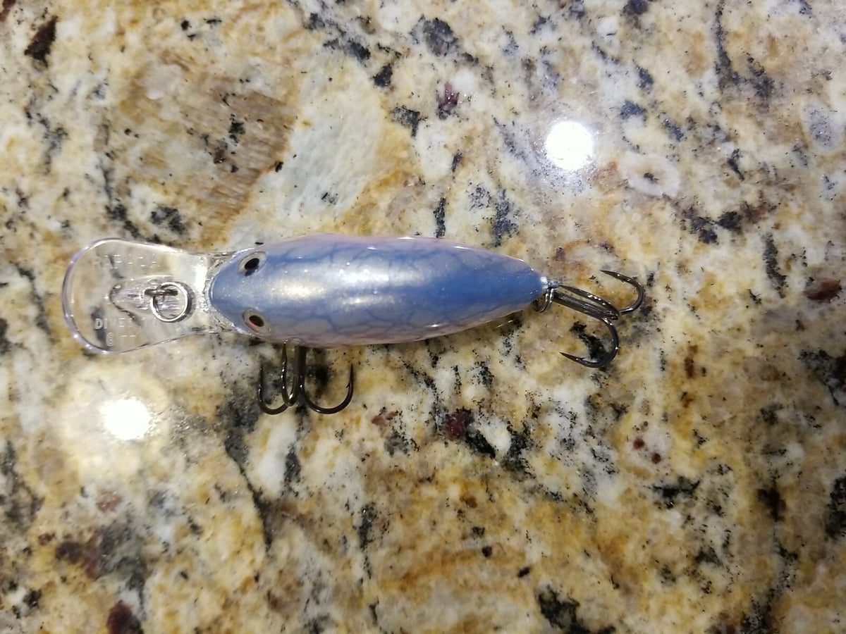 Custom Painted Rapala DT-6 Deep Diver Lure - Fish Attractant