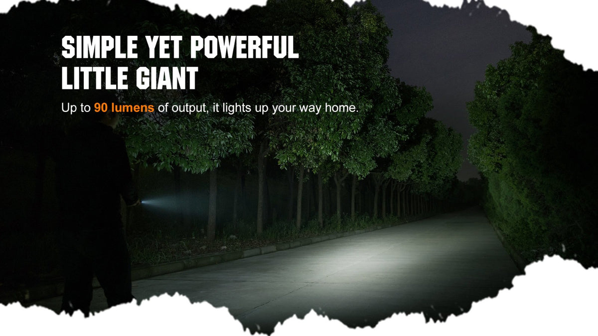 Compact LED Keychain Flashlight 90 Lumens Waterproof AAA