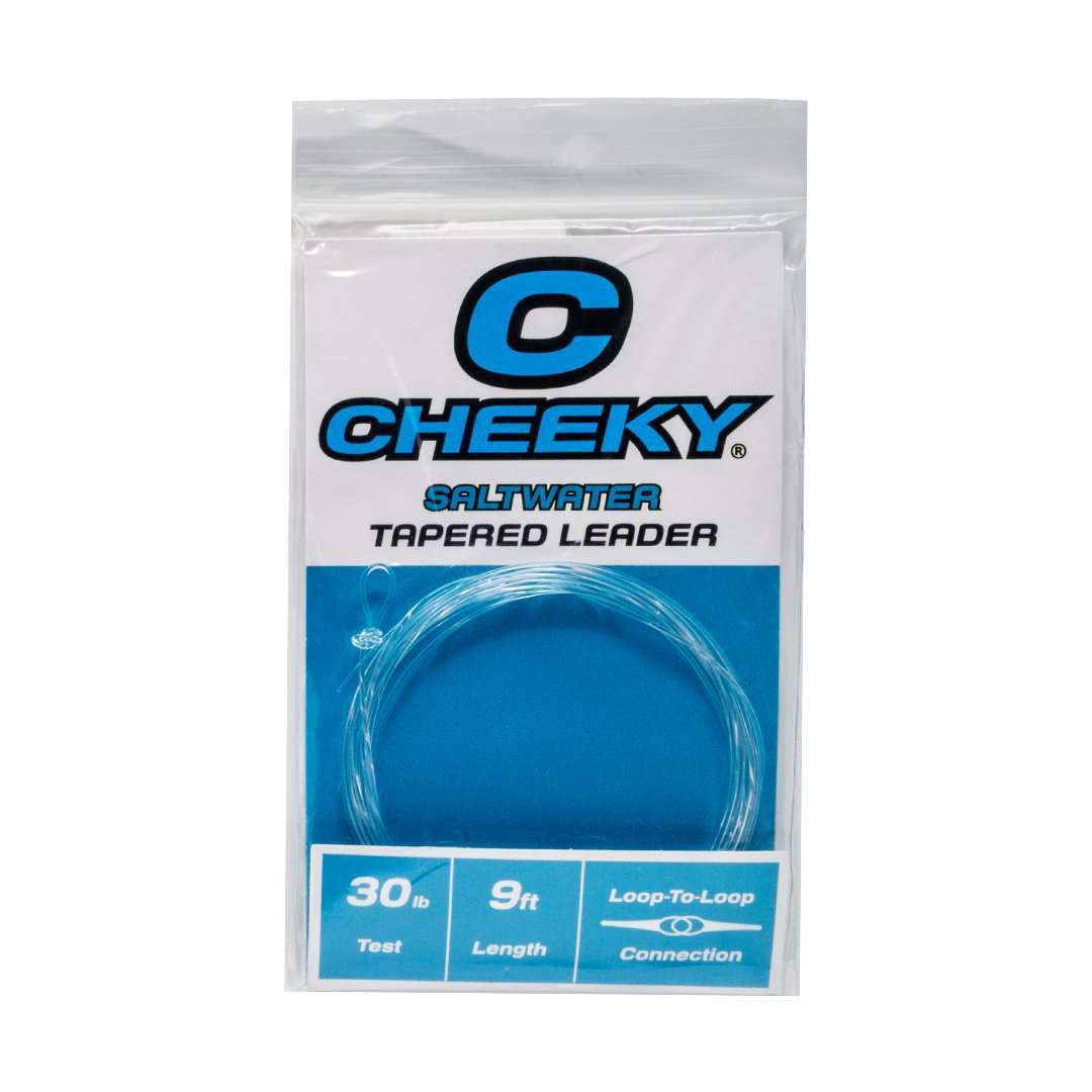 Saltwater Fly Leader Tapered 9ft Fishing Line for Bonefish, Tarpon, Snook & Redfish