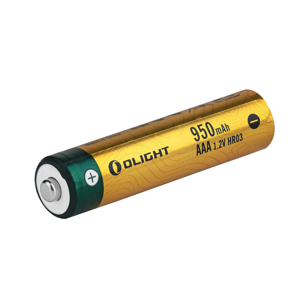 High Capacity AAA Rechargeable Ni-MH Batteries 950mAh 12-Pack