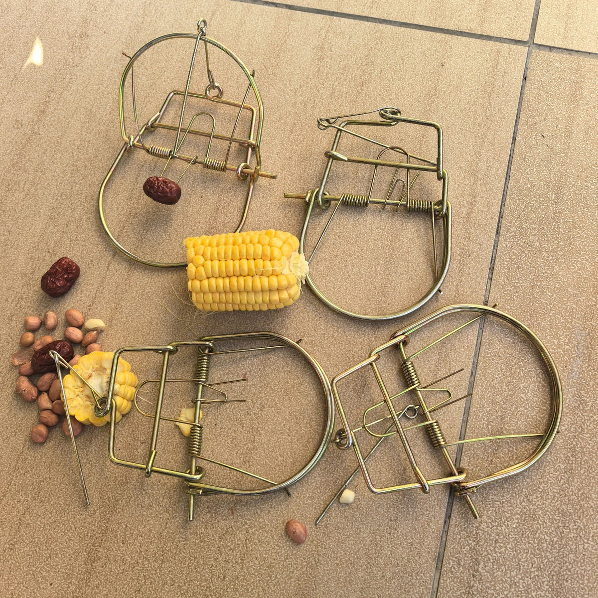 4 Pack Spring Traps for Raccoon Coyote Fox Rodent Pest Control