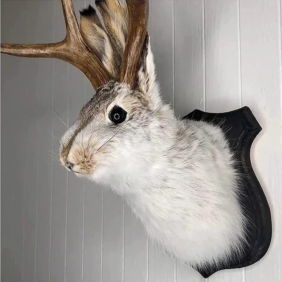 Jackalope Wall Mount Decor - Whimsical Animal Head Wall Art