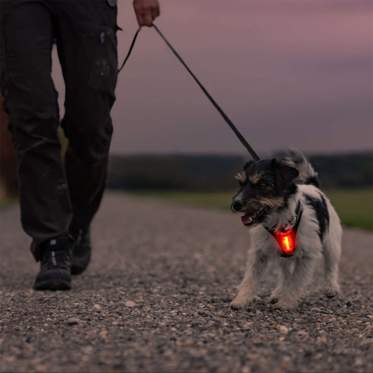2-Pack LED Safety Clip-On Bicycle Tail Lights - Night Warning Strobe Lamp