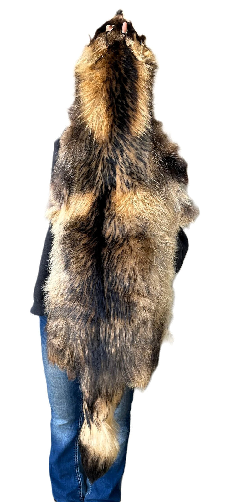 Large Tanned Finnish Coonskin Fur Pelt - Thick Long Fur, Unique Colors