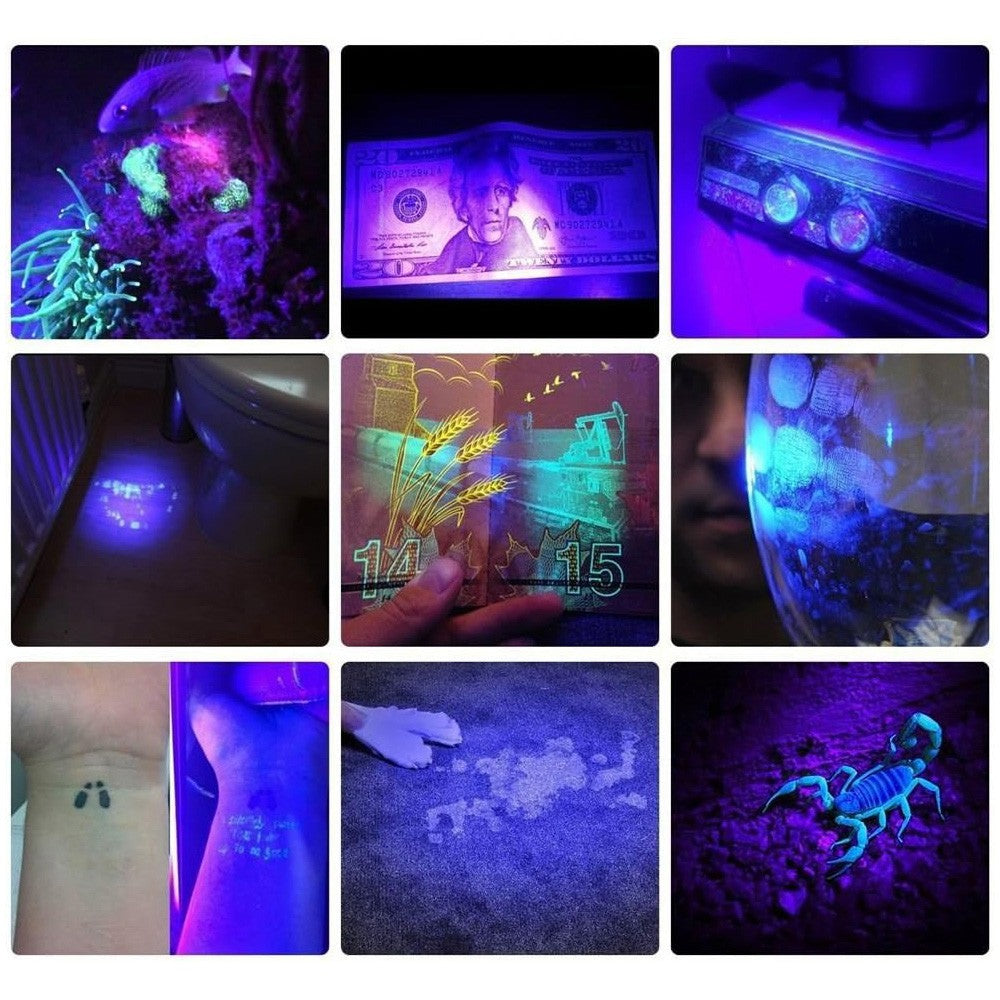 395nm UV Light Pen Flashlight Clip Waterproof Mini Torch for Currency Verification