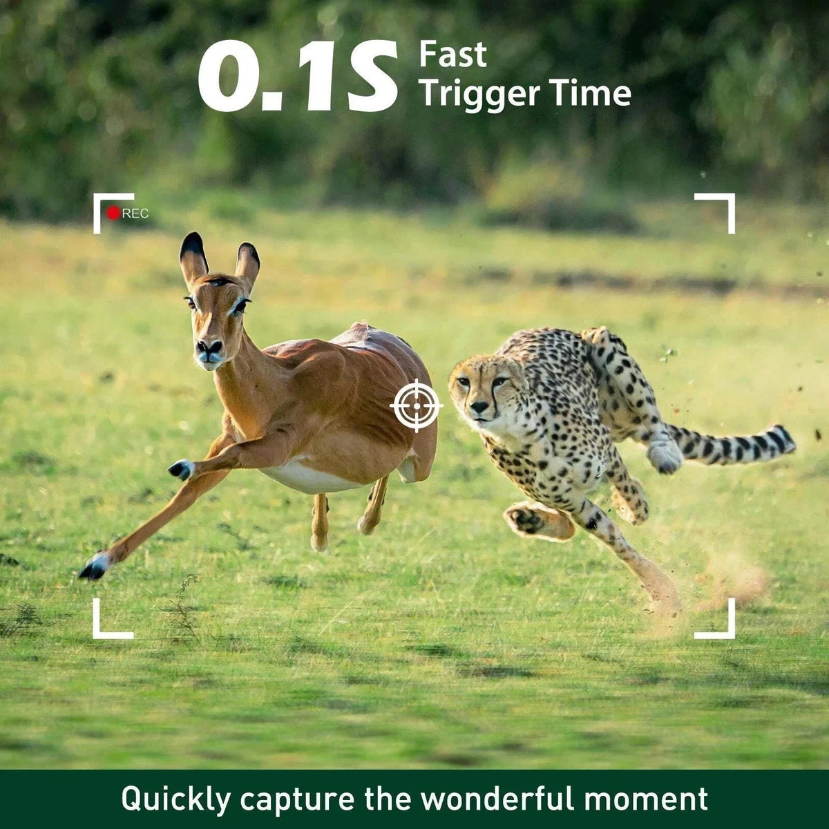 Mini Trail Deer Camera 48MP 4K Wildlife Hunting Camera Waterproof Night Vision