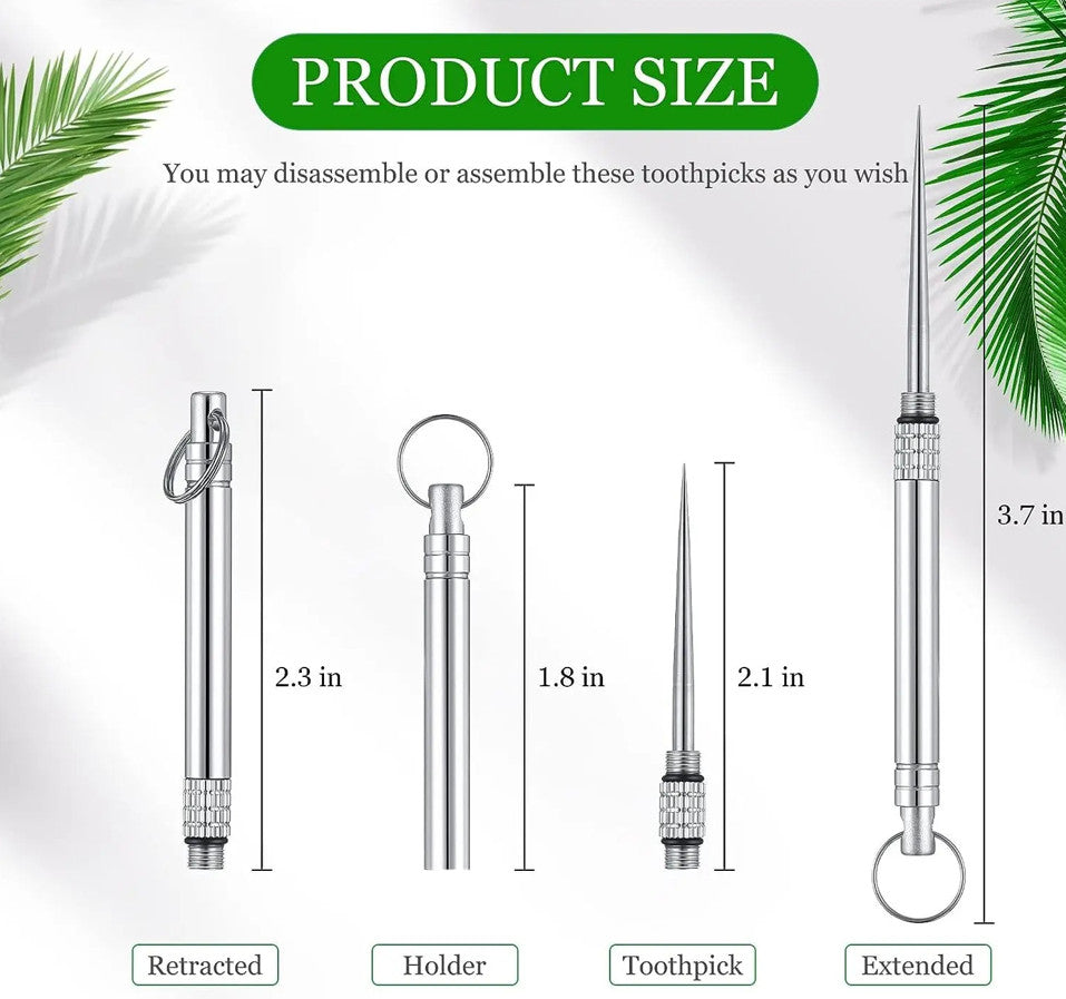 Portable Titanium Toothpick Keychain Reusable Eco-Friendly Holder