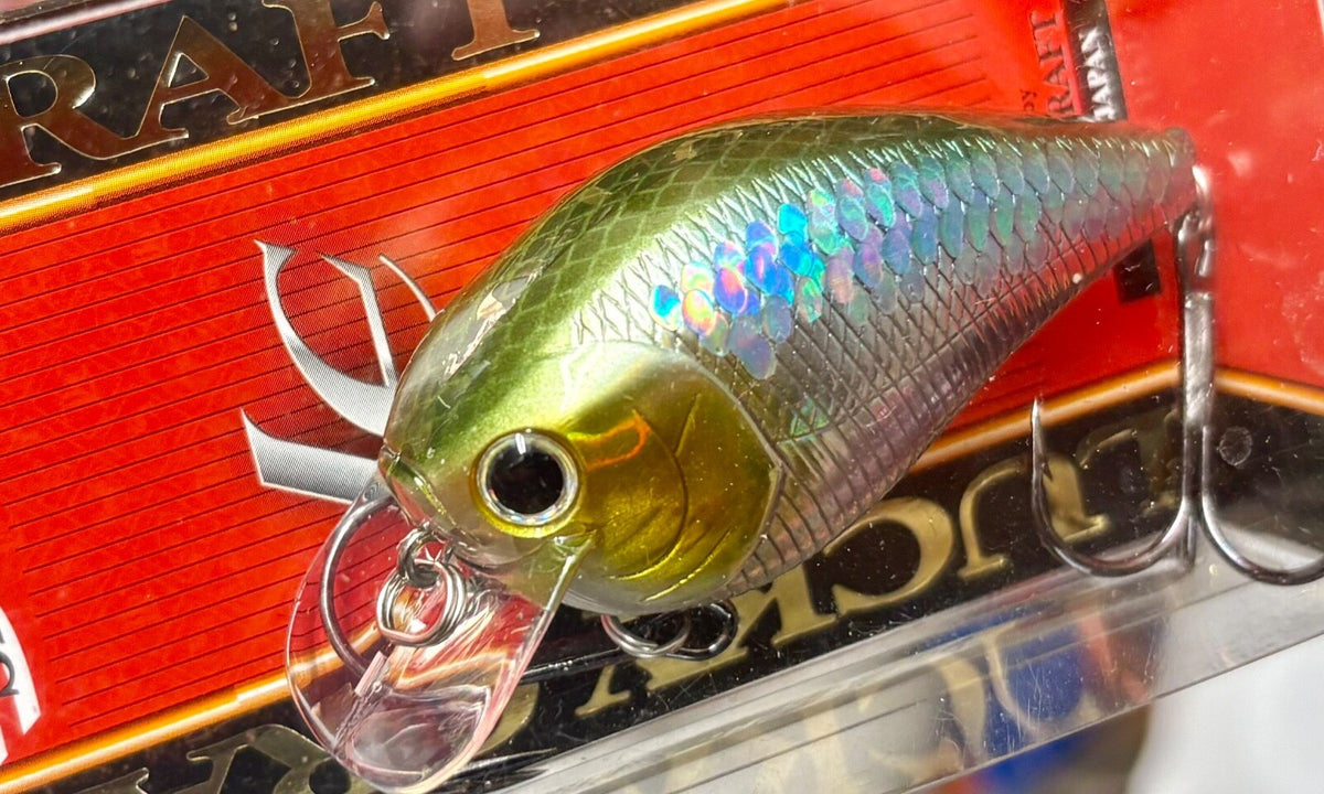 Big Daddy Strike Fat Crankbait 1/2 oz 2.5-inch MS Japan Shad Color