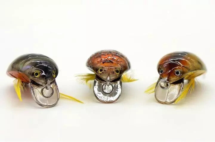 Floating Beetle Bug Fishing Lures Set - 6 Color Options, Water Surface Bait